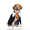 DEGUISEMENT HALLOWEEN ETUDIANT HARRY POUR CHIEN TAILLE L