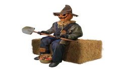 JACK GOODIES AUTOMATE HOMME CITROUILLE ASSIS POUR HALLOWEEN