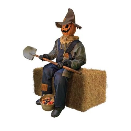 JACK GOODIES AUTOMATE HOMME CITROUILLE ASSIS  POUR HALLOWEEN