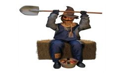 JACK GOODIES AUTOMATE HOMME CITROUILLE ASSIS POUR HALLOWEEN