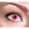 LENTILLES SEMAINE SPIRALE ROUGE LENTILLES SEMAINE SPIRALE ROUGE