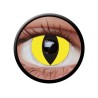 LENTILLES YEUX DE CHAT JAUNE 1 SEMAINE  LENTILLES YEUX DE CHAT JAUNE 1 SEMAINE