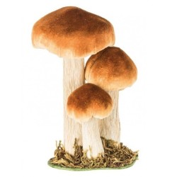 DECORATION 3 CHAMPIGNONS BRUN ORANGE SUR SOCLE EN BOIS MOUSSE  11 X 8 X  18 CM 