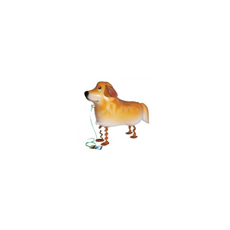 BALLON MARCHEUR AIRWALKER GOLDEN RETRIEVER