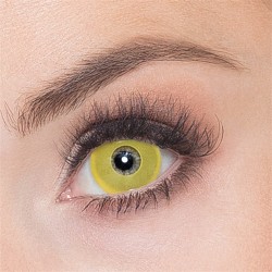 LENTILLES SEMAINE CORBEAU (JAUNE )