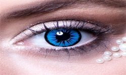 LENTILLES SEMAINE ANGE (BLEU ET NOIR )