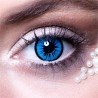 LENTILLES SEMAINE ANGE (BLEU ET NOIR )