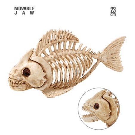 SQUELETTE DE POISSON 23 CM 