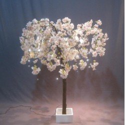 ARBRE CERISIER EN FLEURS BLANCHES LUMINEUX