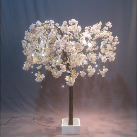 ARBRE CERISIER EN FLEURS BLANCHES LUMINEUX