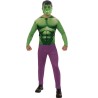 DEGUISEMENT HULK BASIQUE TAILLE XL 