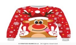 DEGUISEMENT PULL DE NOEL ROUGE RENNE RUDOLF TAILLE 10-12 ANS