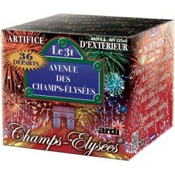FEUX COMPACT LE 31 AVENUE DES CHAMPS ELYSEES
