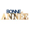 LETTRES BONNE ANNEE BLEU MARINE ET OR 25 x 4 x 9 CM EN BOIS LETTRES BONNE ANNEE BLEU MARINE ET OR 25 x 4 x 9 CM EN BOIS