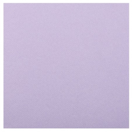 20 SERVIETTES RAINBOW AIRLAID LILAS OU PARME  40 X 40 CM 