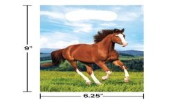 8 SACHETS CHEVAL ET PONEY 