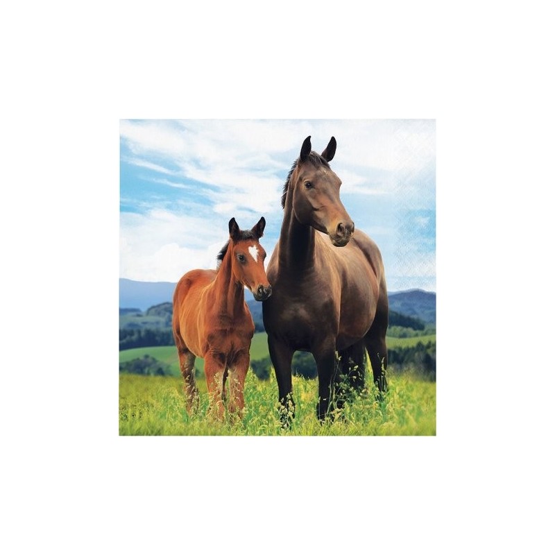 16 SERVIETTES CHEVAL 33 X 33 CM  16 SERVIETTES CHEVAL 33 X 33 CM
