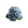 TIGE HORTENSIA BLEU CIEL 35CM