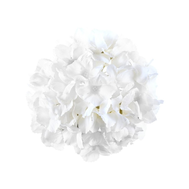 HORTENSIA BLANC TETE DE FLEUR 20 CM ENVIRON