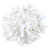 HORTENSIA BLANC TETE DE FLEUR 20 CM ENVIRON