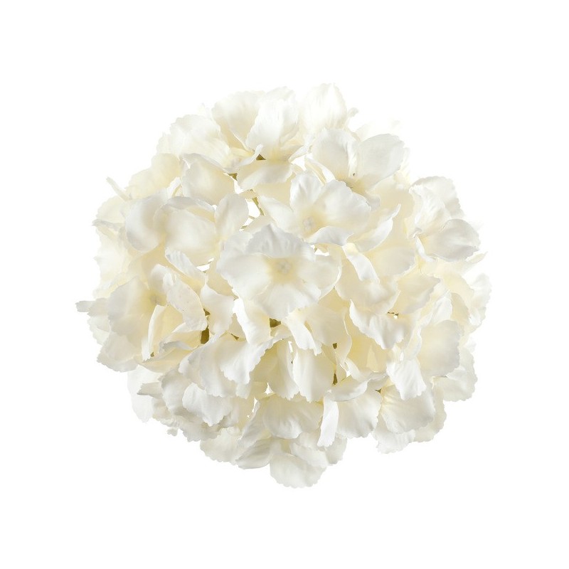 HORTENSIA IVOIRE TETE DE FLEUR 20 CM ENVIRON