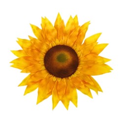 TETE FLEUR DE TOURNESOL DIA 38 CM X 10 CM
