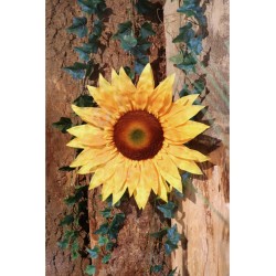 TETE FLEUR DE TOURNESOL DIA 38 CM X 10 CM