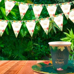 GUIRLANDE FANIONS JOYEUSE RETRAITE 3 METRES