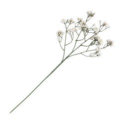 TIGE GYPSOPHILE CREME ENV 15CM X 10CM X 60CM