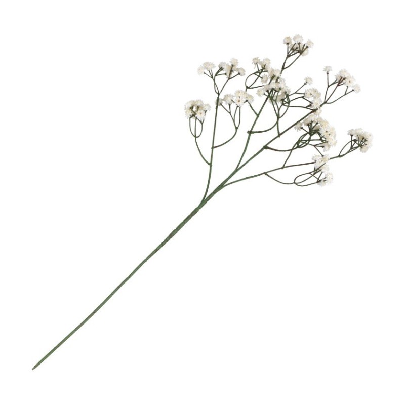 TIGE GYPSOPHILE CREME ENV 15CM X 10CM X 60CM