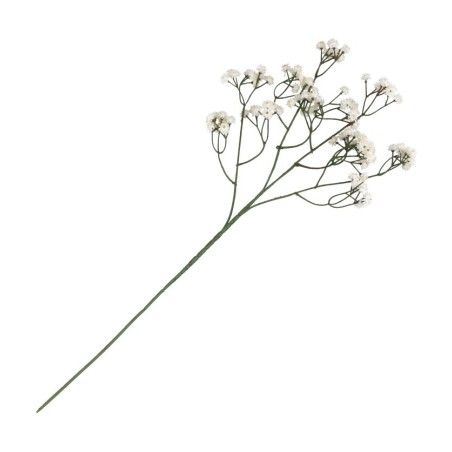 TIGE GYPSOPHILE CREME ENV 15CM X 10CM X 60CM