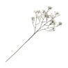 TIGE GYPSOPHILE CREME ENV 15CM X 10CM X 60CM