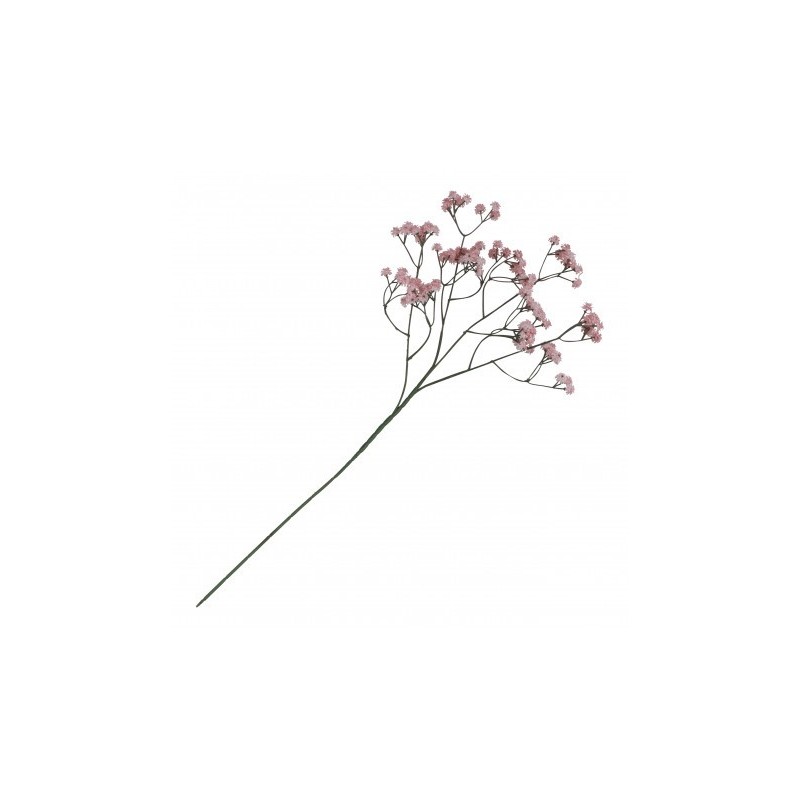 TIGE GYPSOPHILE ROSE ENV 15CM X 10CM X 60CM
