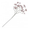 TIGE GYPSOPHILE ROSE ENV 15CM X 10CM X 60CM