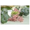 TIGE GYPSOPHILE ROSE ENV 15CM X 10CM X 60CM