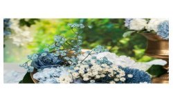 TIGE GYPSOPHILE BLEU ENV 15CM X 10CM X 60CM