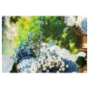 TIGE GYPSOPHILE BLEU ENV 15CM X 10CM X 60CM