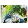 TIGE GYPSOPHILE BLEU ENV 15CM X 10CM X 60CM