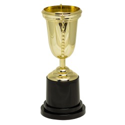 TROPHEE OU COUPE EN PLASTIQUE OR 25 CM 