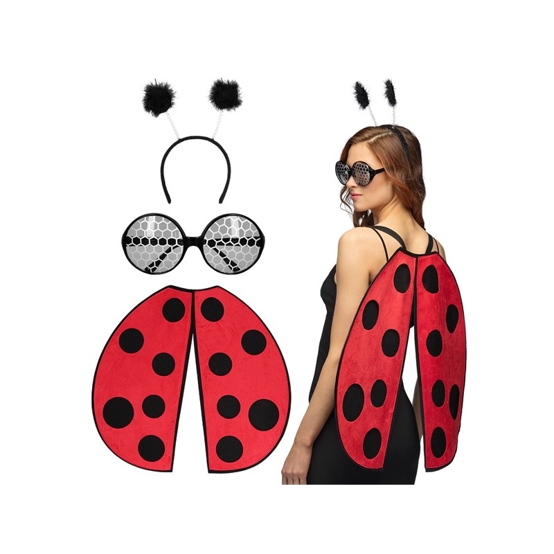 SET COCCINELLE LADYBUG AILES LUNETTES ET SERRE TETE