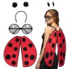 SET COCCINELLE LADYBUG AILES LUNETTES ET SERRE TETE