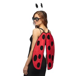 SET COCCINELLE LADYBUG AILES LUNETTES ET SERRE TETE