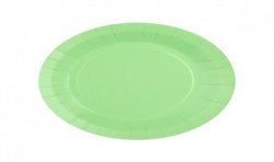 10 ASSIETTES CARTON RAINBOW RONDE VERT PASTEL 18 CM 