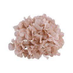 TETE HORTENSIA ROSE POUDRE 20 CM X 11 CM 