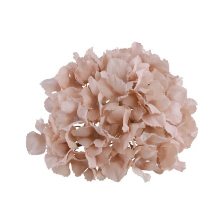 TETE HORTENSIA ROSE POUDRE 20 CM X 11 CM 