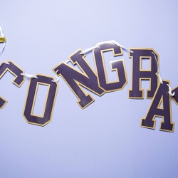 GUIRLANDE LETTRES CONGRATULATIONS POUR REMISE DE DIPLOME