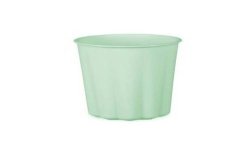 4 GOBELETS EN PLASTIQUE REUTILISABLE VERT PASTEL OU MENTHE 220 ML