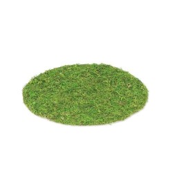 SET DE TABLE MOUSSE VEGETALE 35 CM