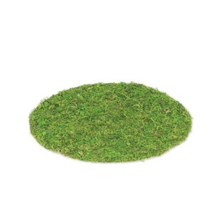 SET DE TABLE MOUSSE VEGETALE 35 CM 