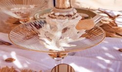 6 PINCES COQUILLAGES IVOIRE 4.5 CM 